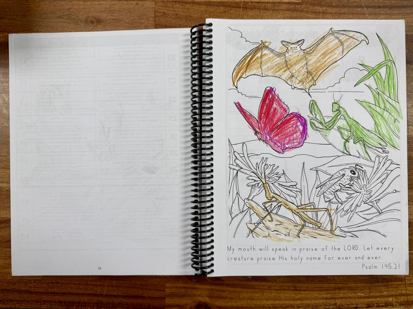 Exploring Creation Zoology 1 Notbook Journal - Acceptable