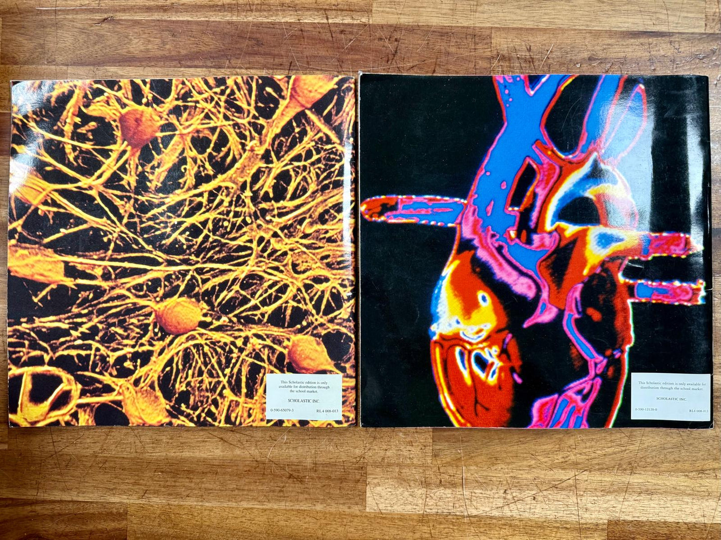 Seymour Simon Human Body Lot of 2: The Brain & The Heart