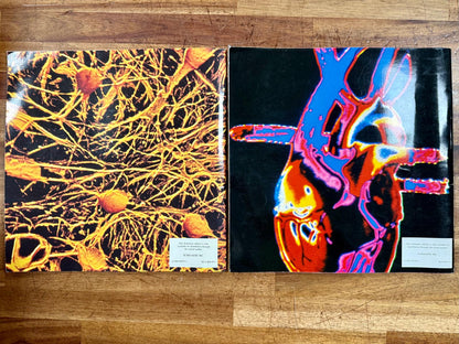 Seymour Simon Human Body Lot of 2: The Brain & The Heart