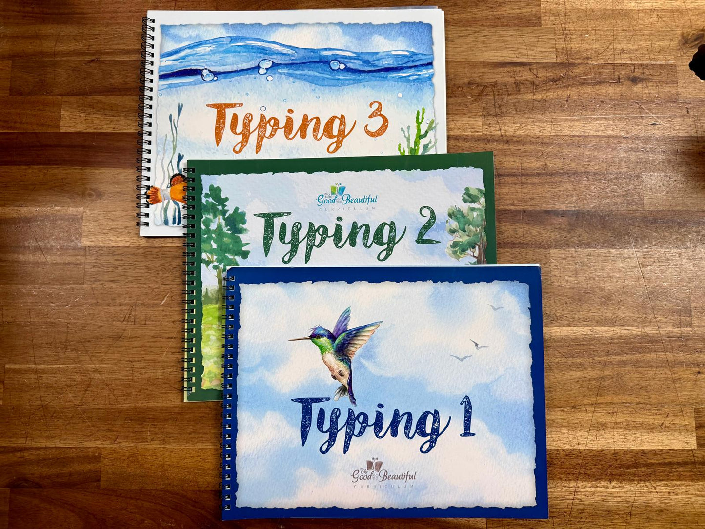 The Good & the Beautiful Typing 1, 2 &3 - Good & Clean