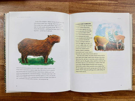 In the Land of the Jaguar: South America & Its People - Gorrell