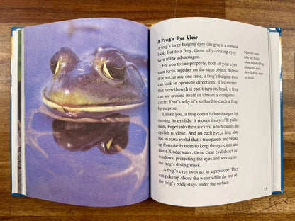 Getting to Know... Nature's Children Squirrels & Frogs