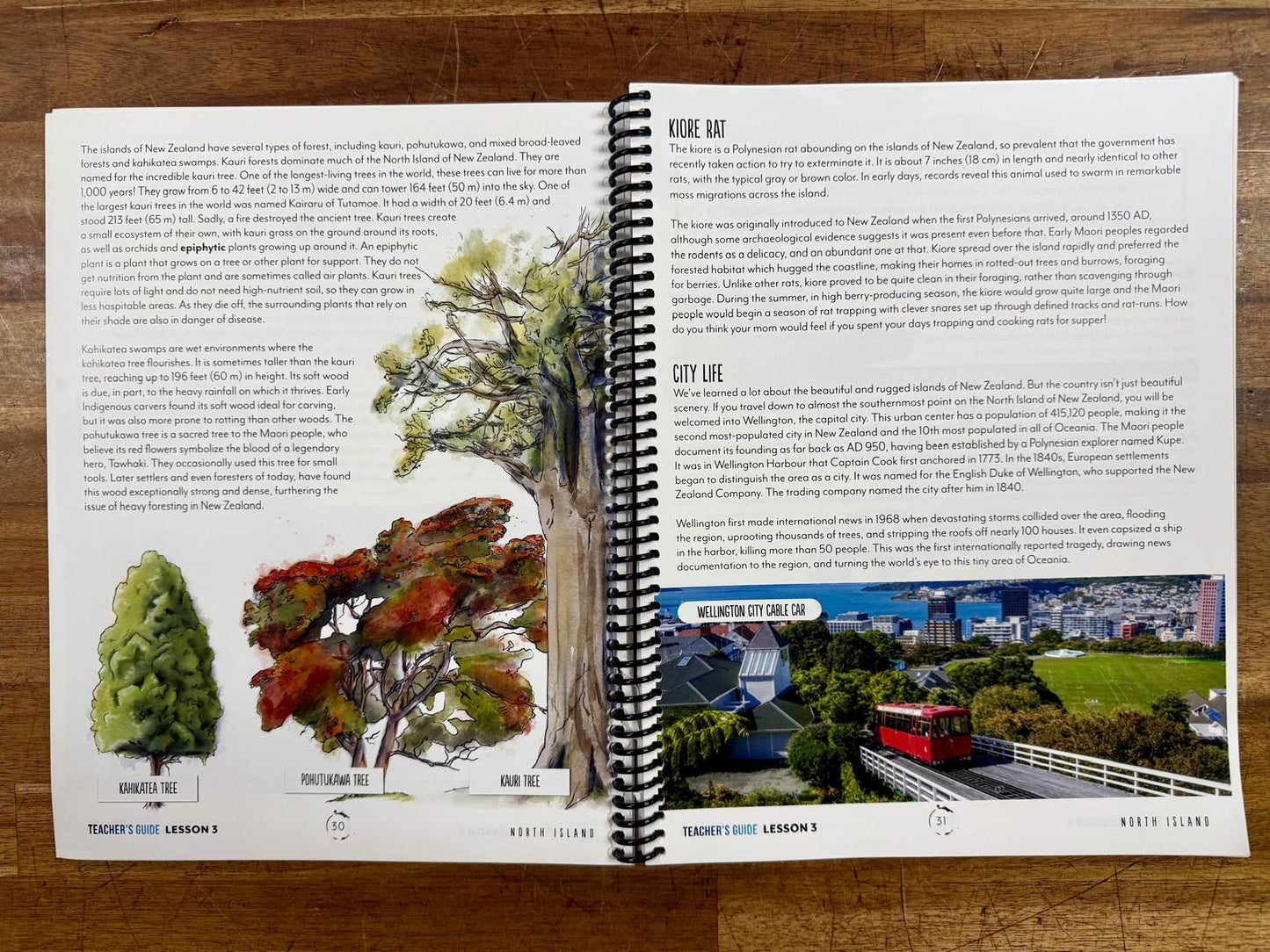 Gather Round Australia Oceania TG & HS Workbook - VG