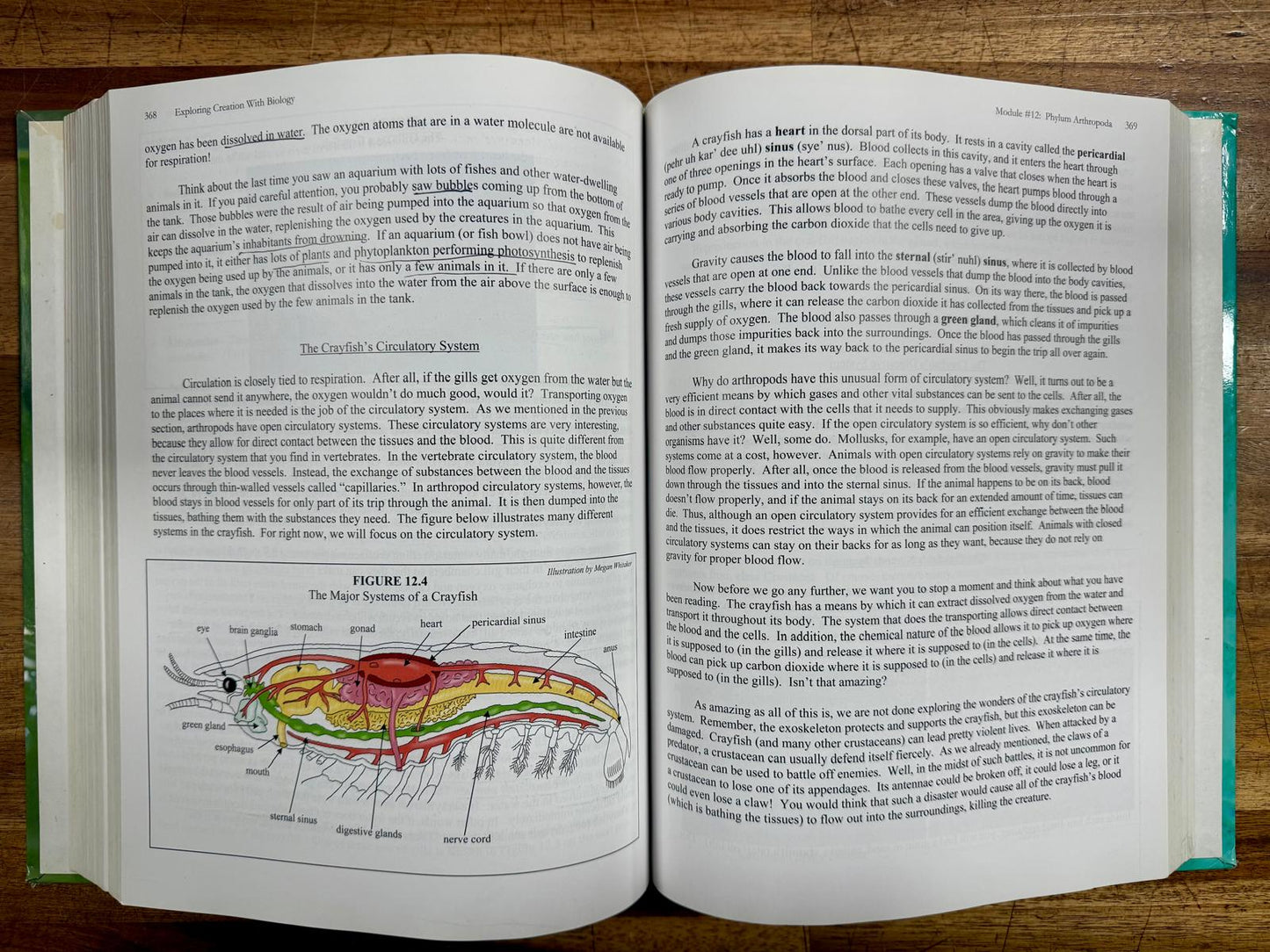 Apologia Exploring Creation w Biology 2nd Ed Text & Tests