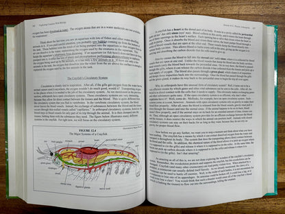 Apologia Exploring Creation w Biology 2nd Ed Text & Tests