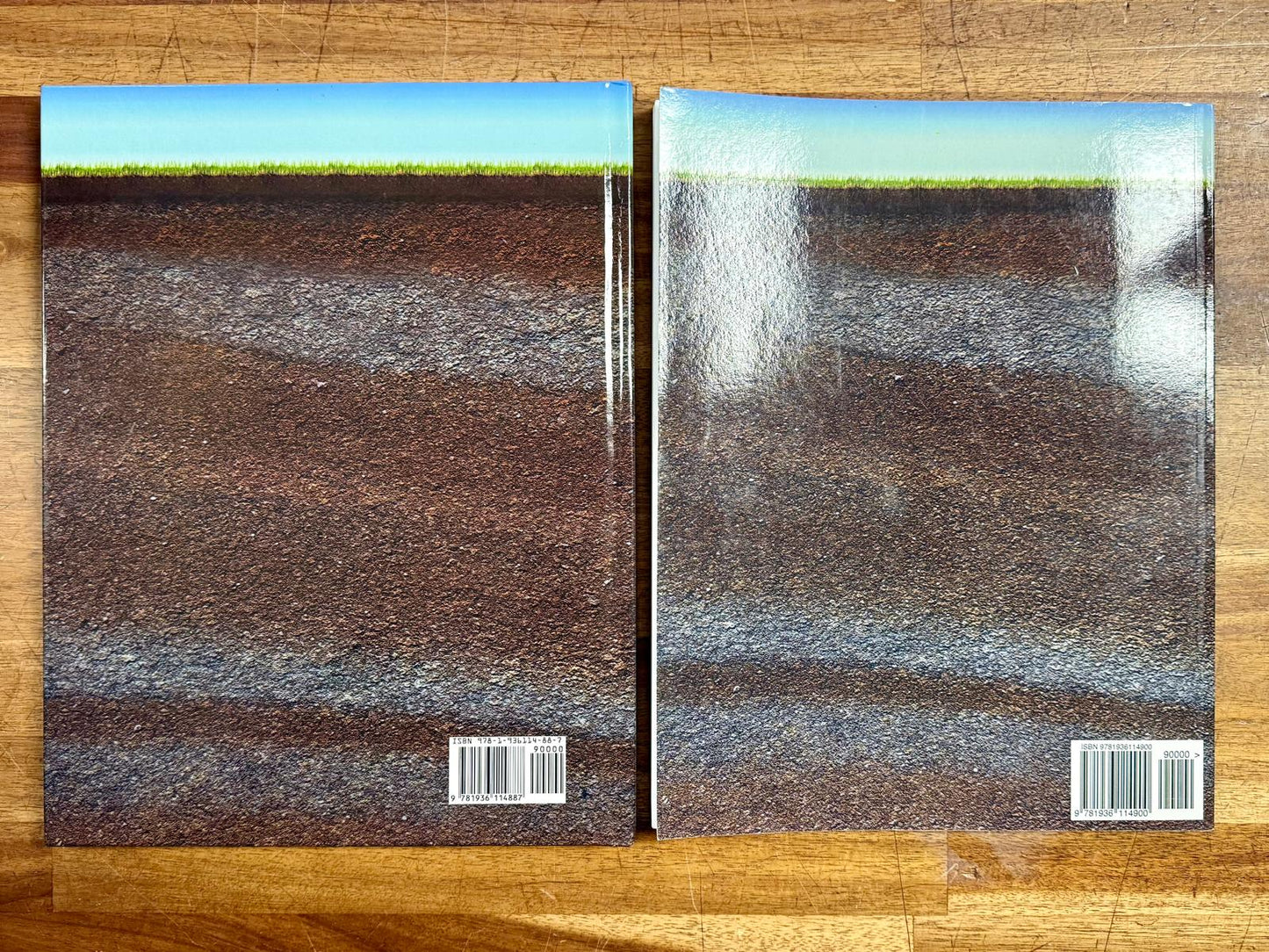 Focus On Elementary Geology Set: Textbook & Lab Workbook