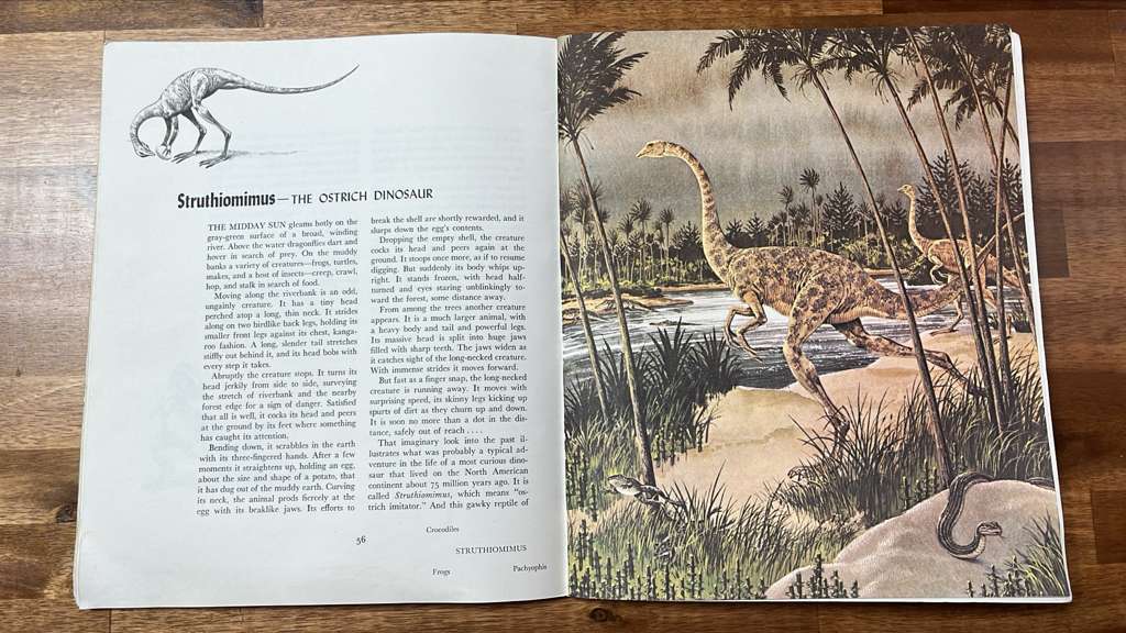 Album of Dinosaurs - Tom McGowen