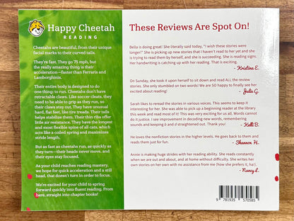 Happy Cheetah Reading: Cheetah Ready Workbook 4