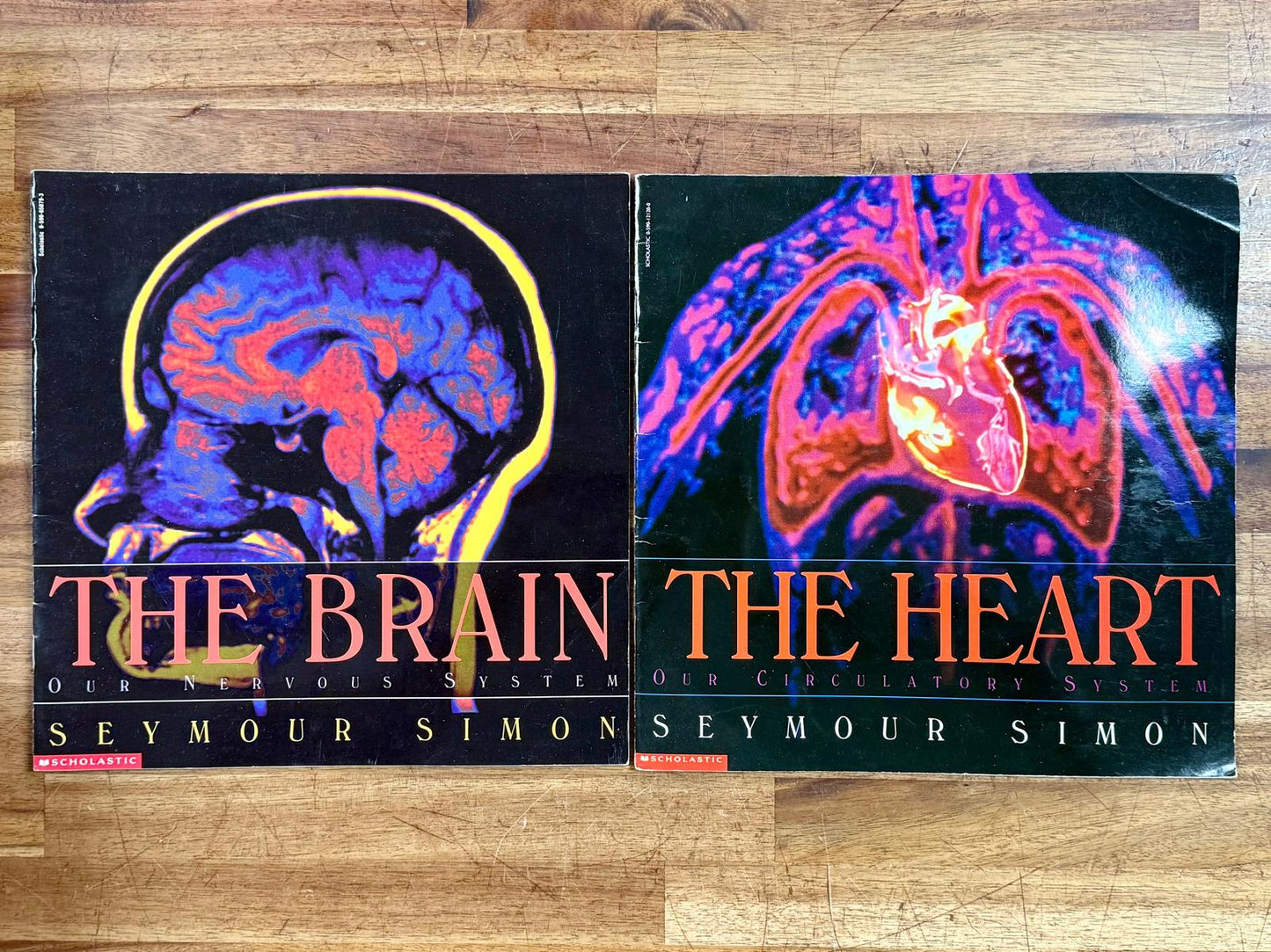 Seymour Simon Human Body Lot of 2: The Brain & The Heart