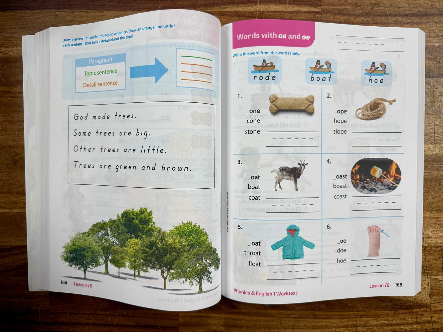 BJU Phonics & English 1 Fifth Ed Set of 3 - Very Good & Clean