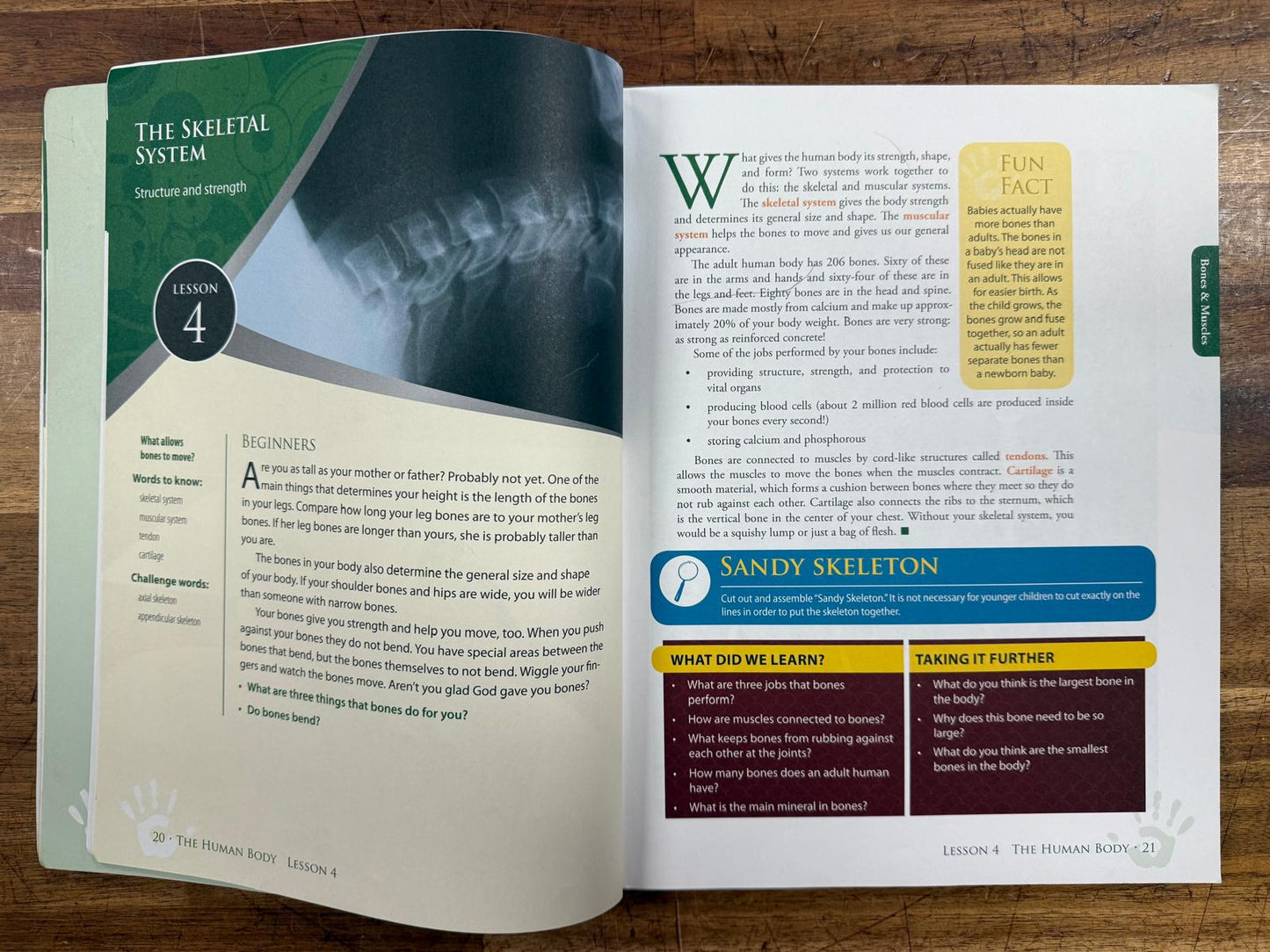 Answers in Genesis God's Design for Life Set of 3