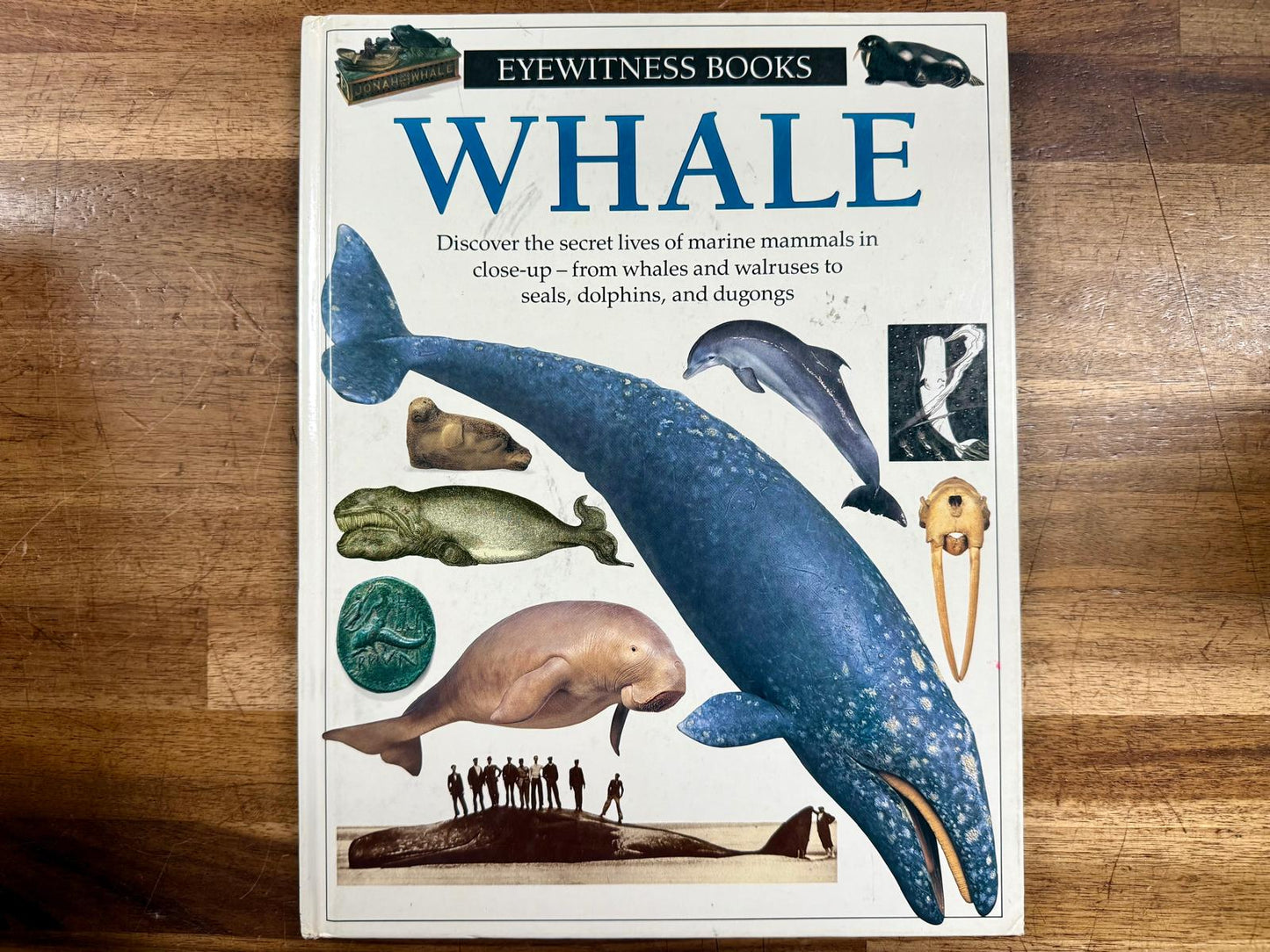 Whale by Vasilli Papastavrou