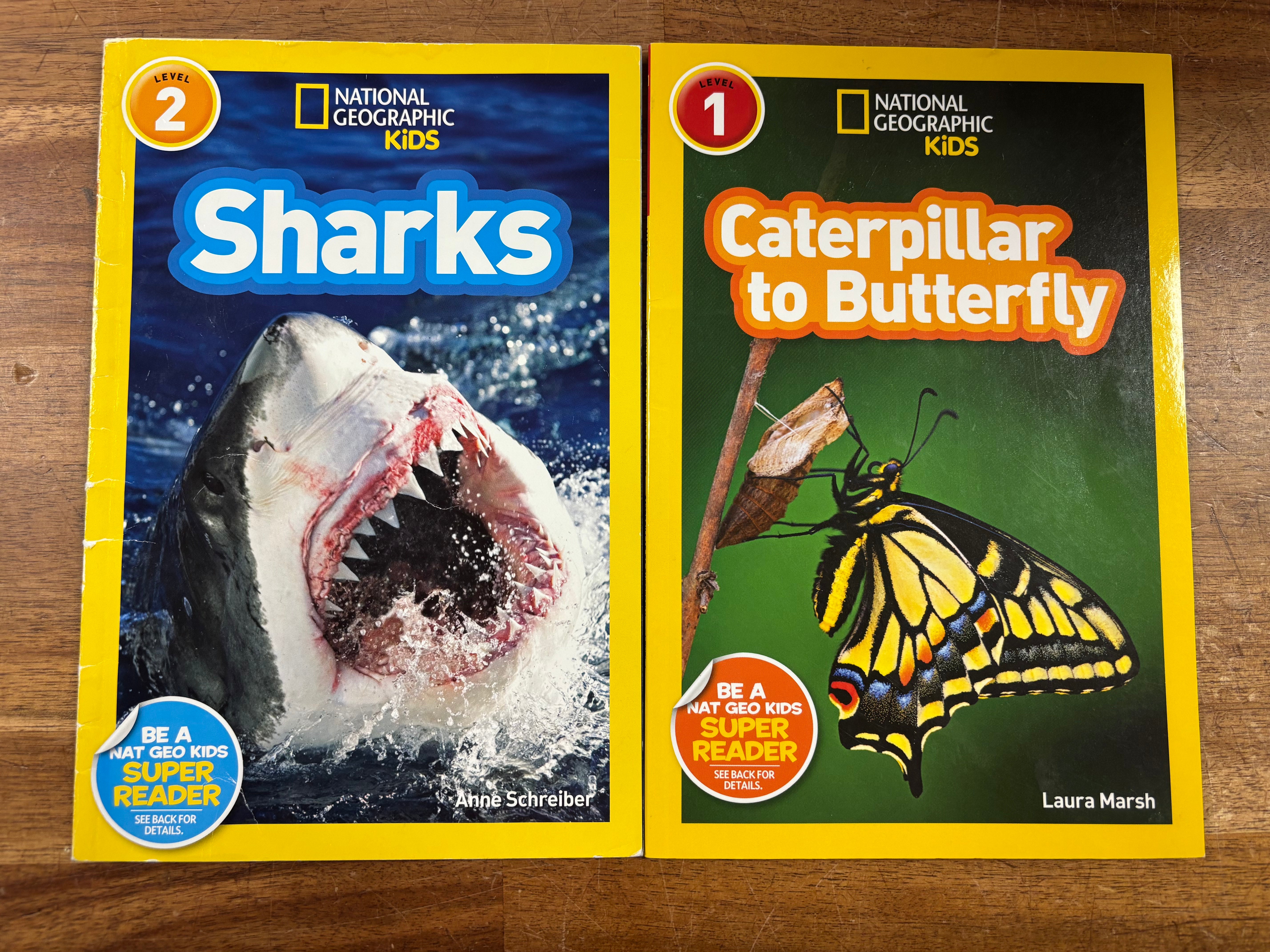 National Geographic Kids Readers: Sharks & Butterflies — front cover