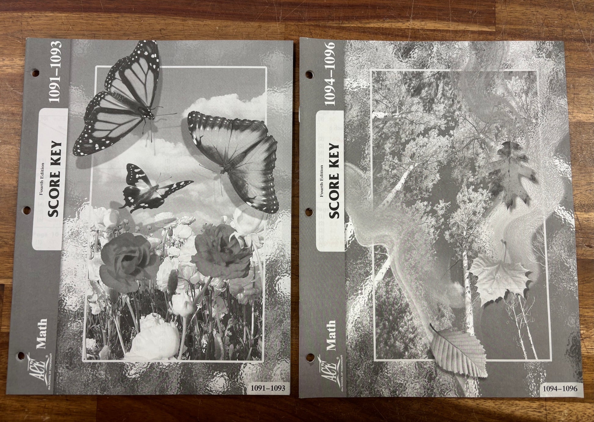 ACE Math Fourth Edition Student Workbook Set 1086-1096 — photo 11 of 11