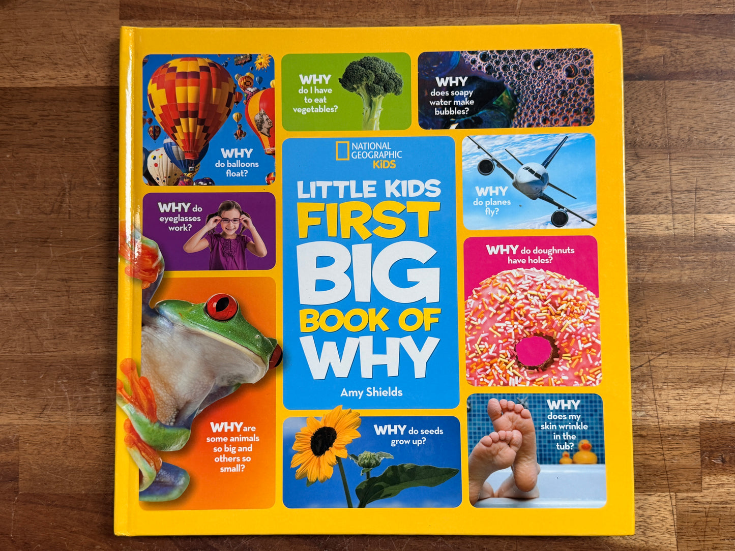 Sonlight Science K LOT - Instruction Guide & Books