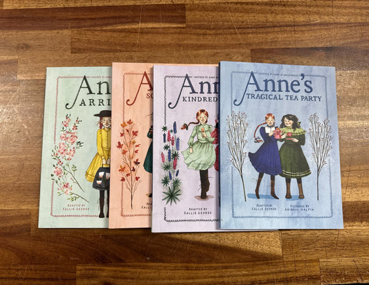 Anne Literature Series LOT of 4