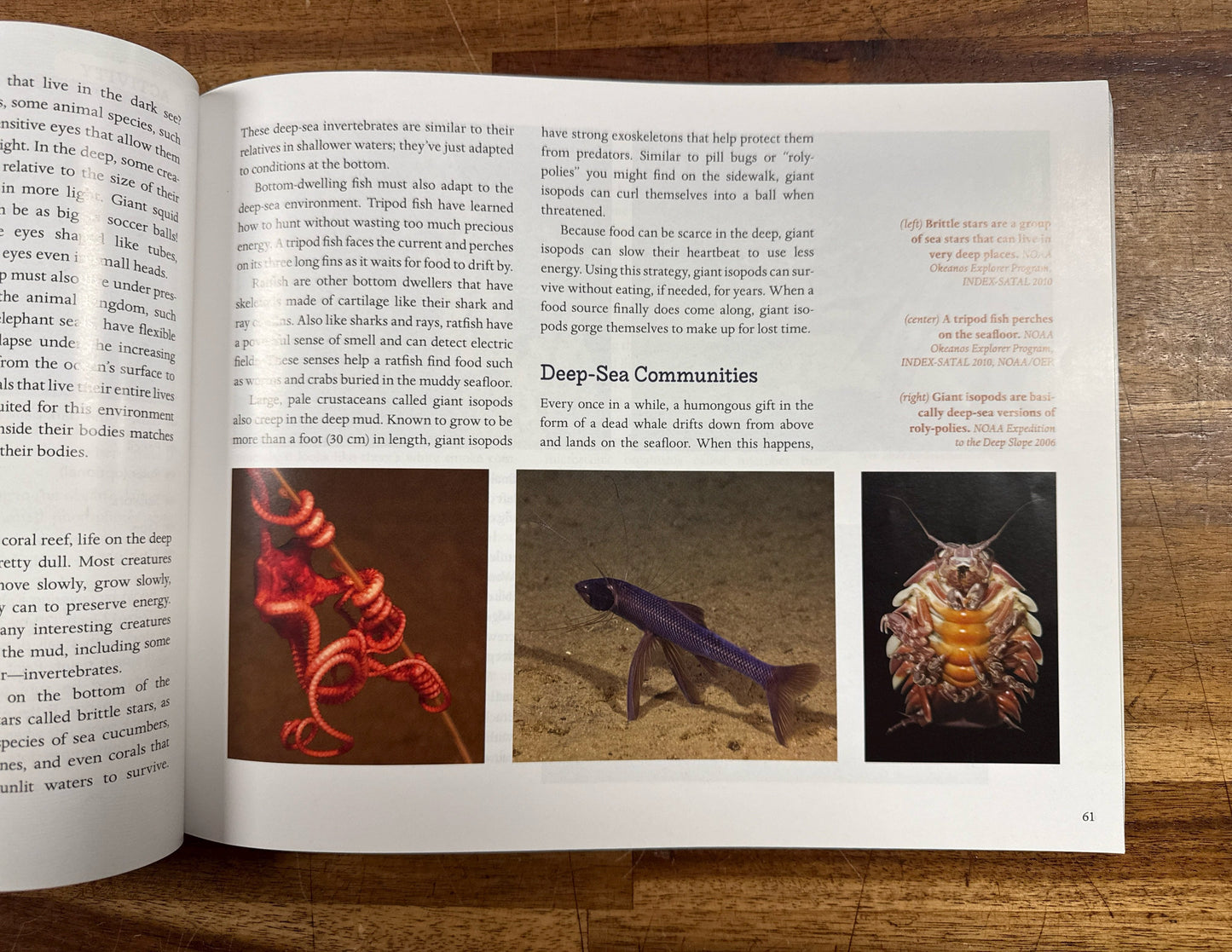 Marine Science for Kids - Cool Careers and 21 Activities
