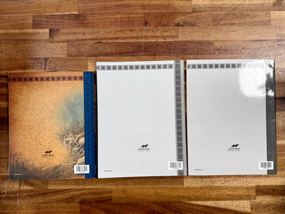 Abeka English 8 SET 2016 Grammar, Vocab, Literature - Clean