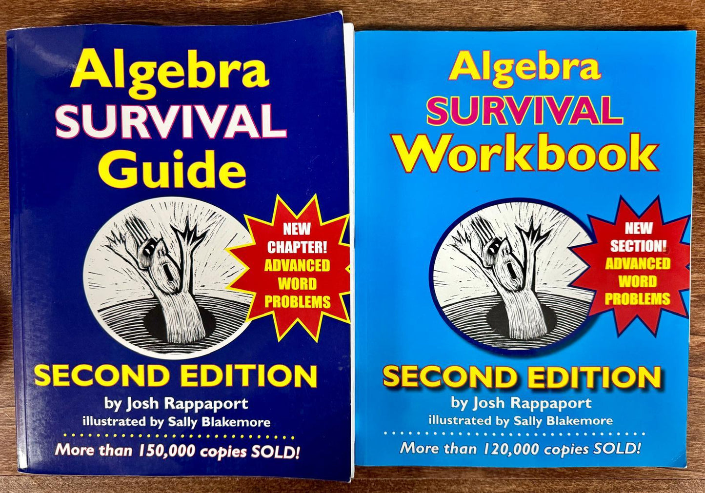 Algebra Survival Guide & Workbook SET by Josh Rappaport