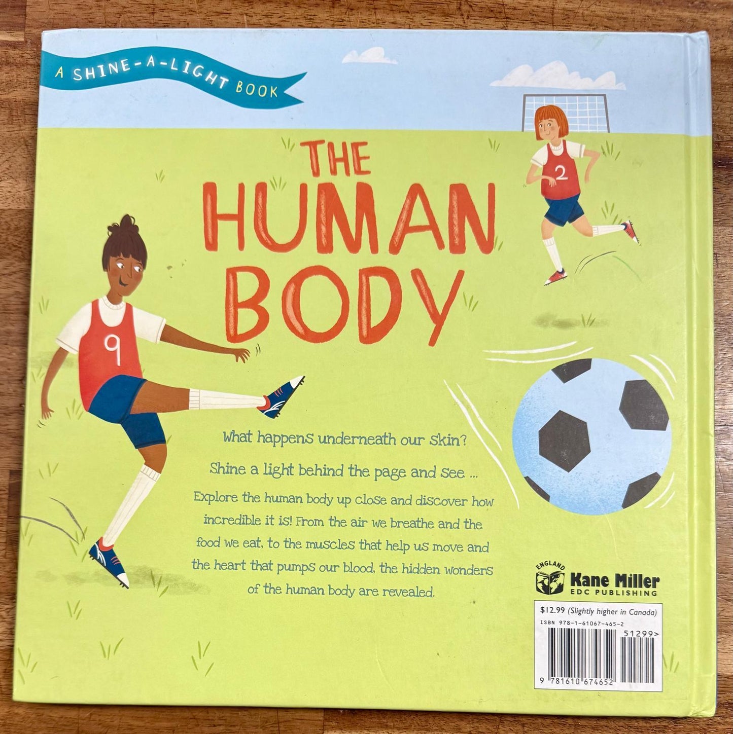 The Human Body (Shine-A-Light)