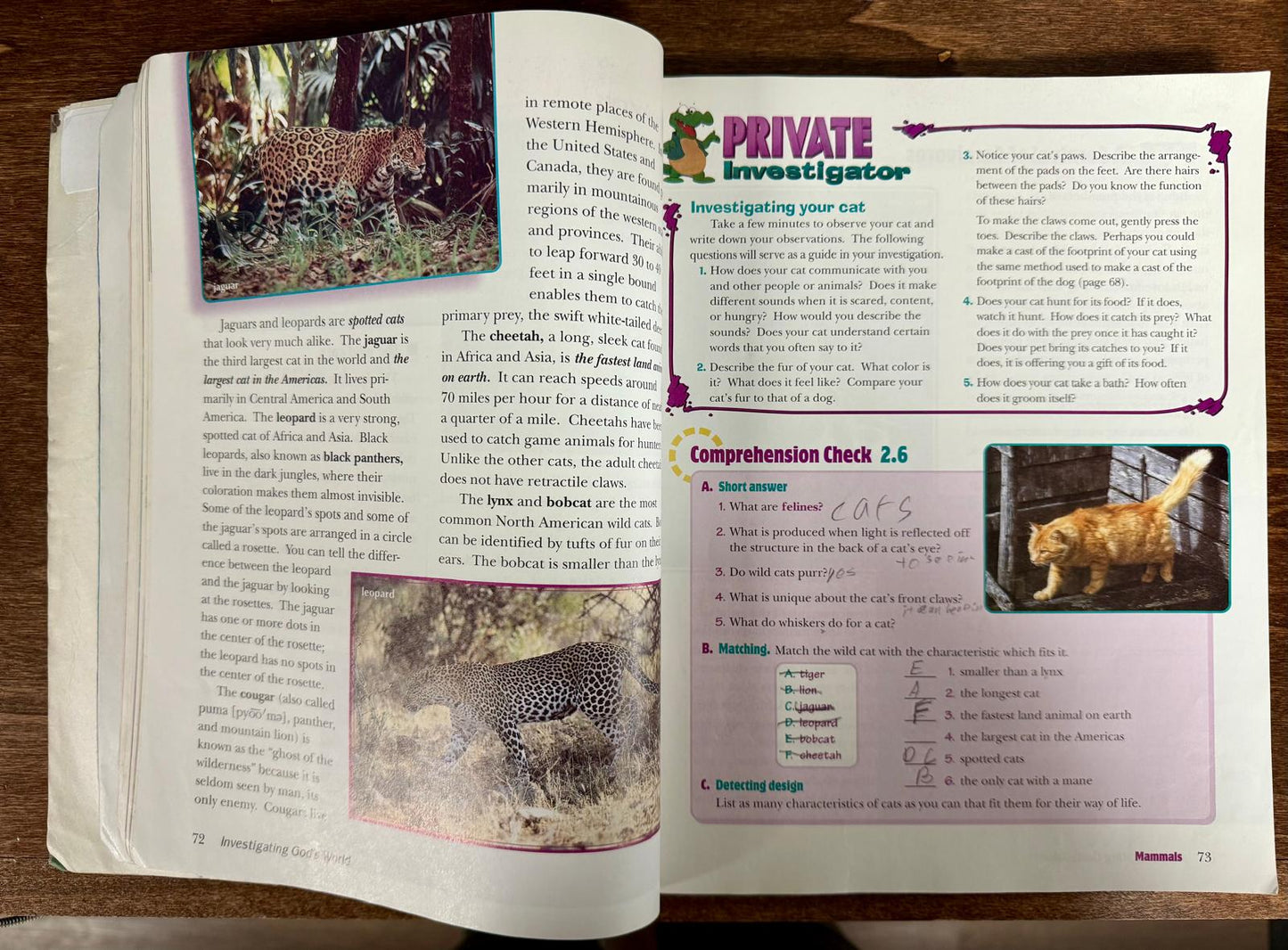 Abeka Investigating God's World Third Ed Student Textbook Science 5