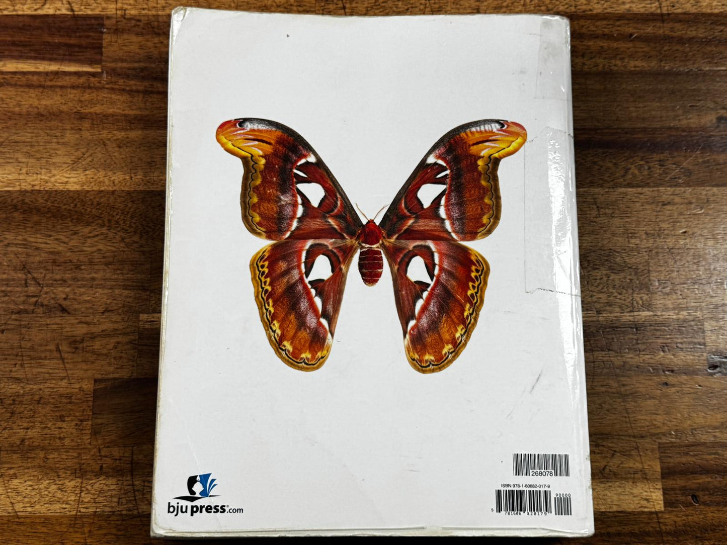 BJU Biology 4th Edition Textbook - ACCEPTABLE