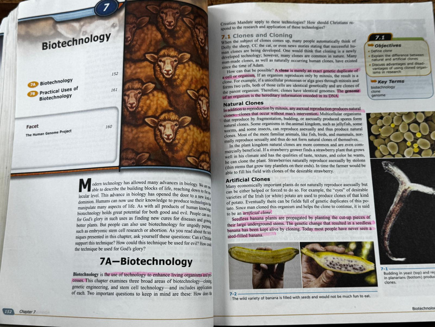 BJU Biology 4th Edition Textbook - ACCEPTABLE