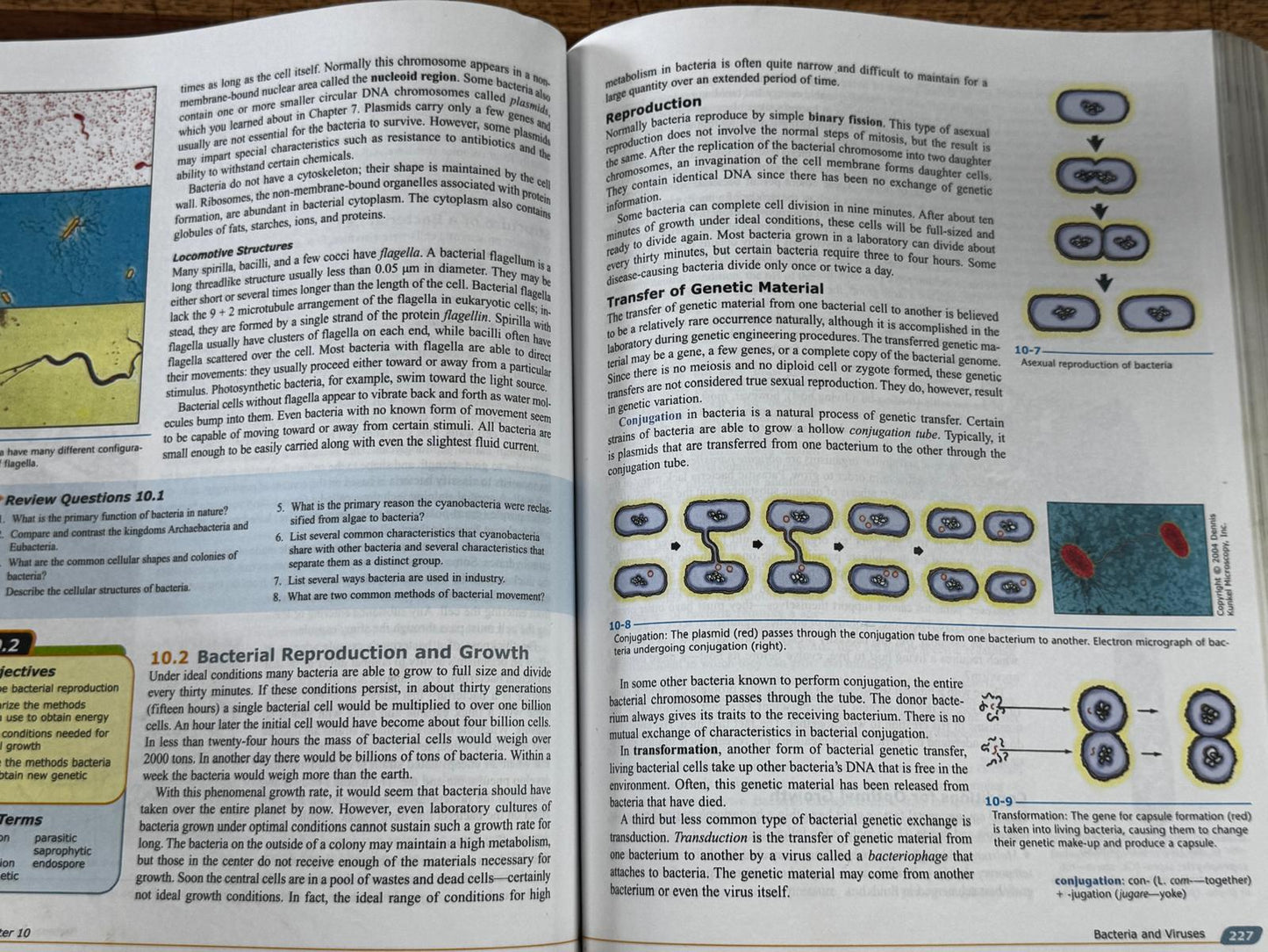 BJU Biology 4th Edition Textbook - ACCEPTABLE