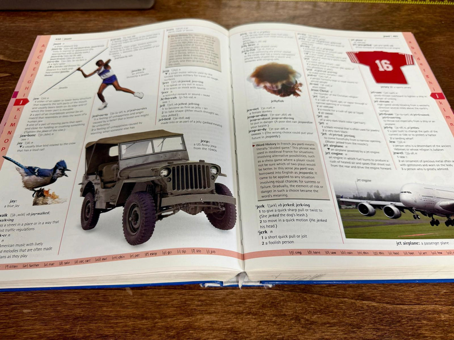DK Merriam-Webster's Children's Dictionary
