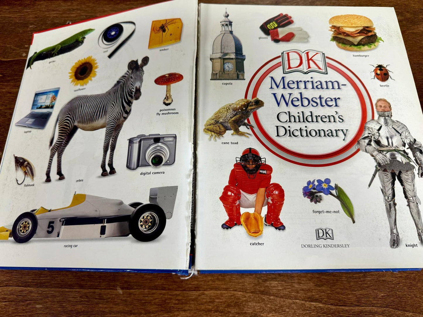 DK Merriam-Webster's Children's Dictionary