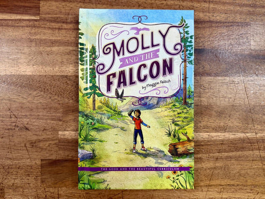Molly and the Falcon The Good and the Beautiful Reading Booster C