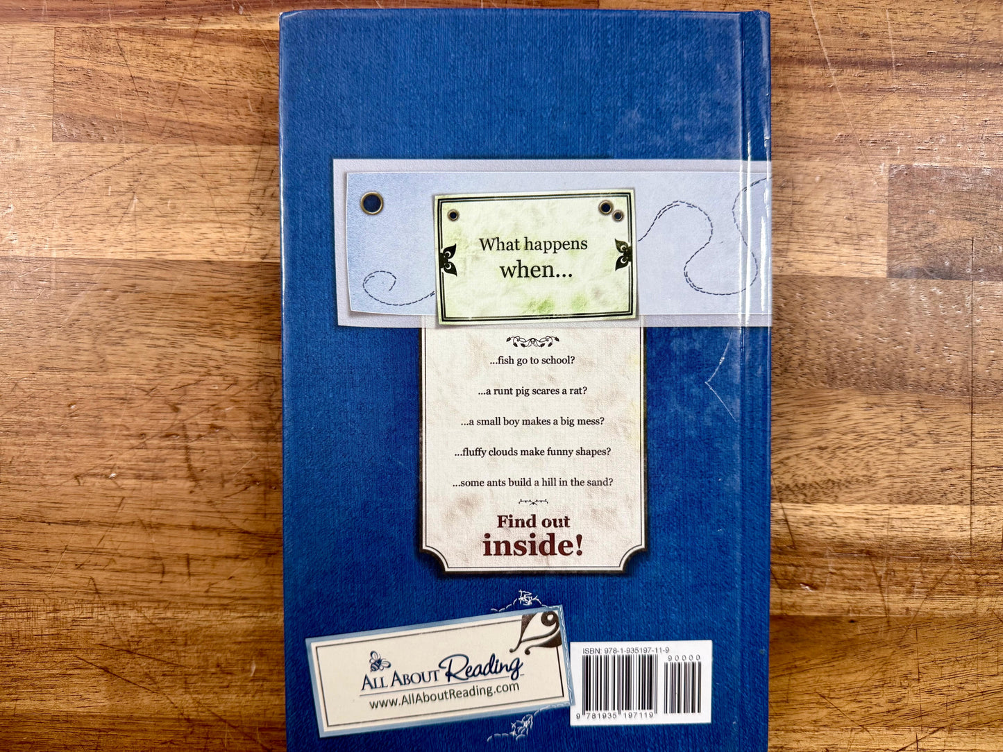 AAR Runt Pig Level 1 Volume 2: An Engaging Phonics Resource for Early Readers