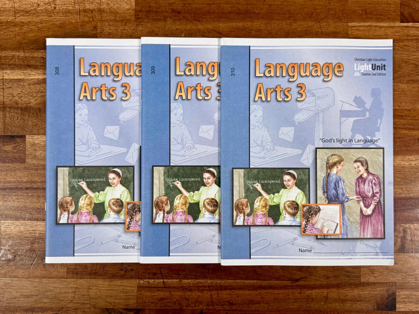 CLE Language Arts 3 Workbooks SET 308-310 - Brand New