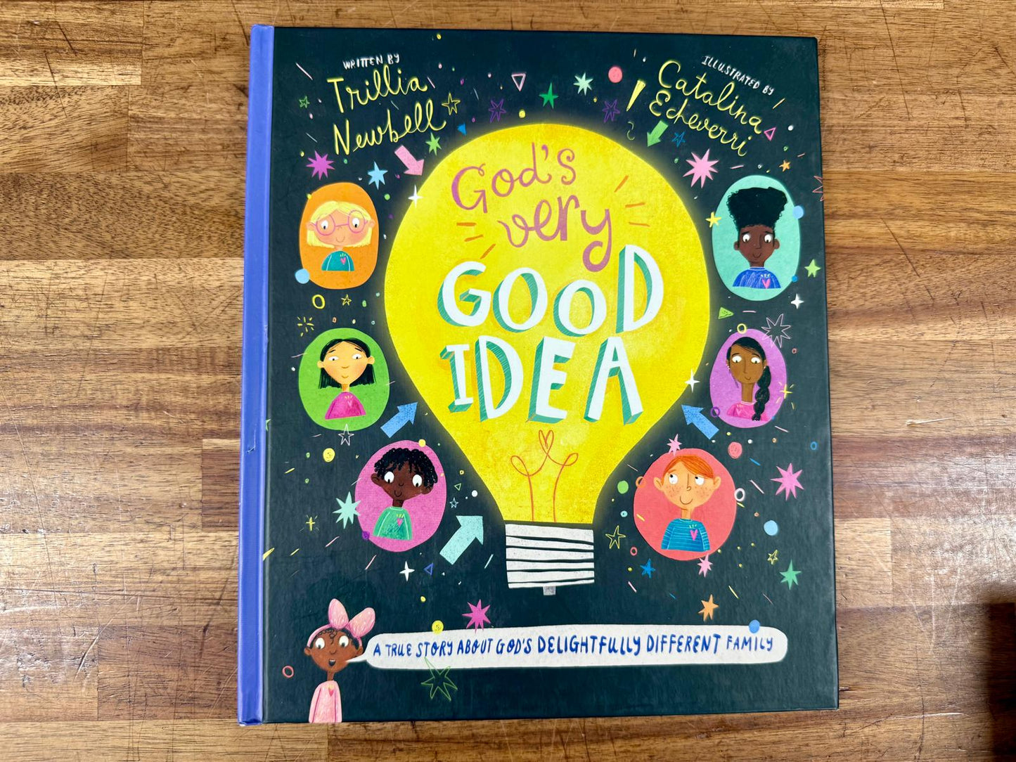 God's Very Good Idea (Like New)