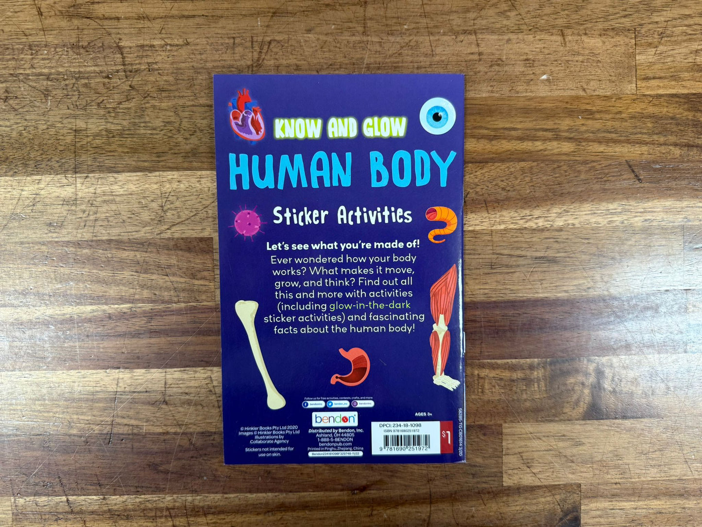 Bendon: Know and Glow – Human Body Sticker Activities