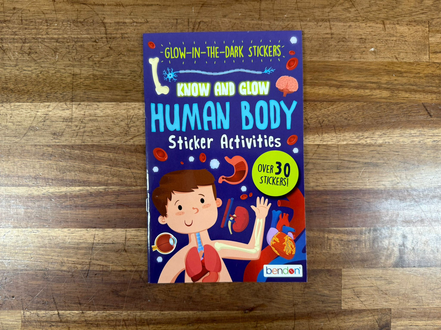 Bendon: Know and Glow – Human Body Sticker Activities