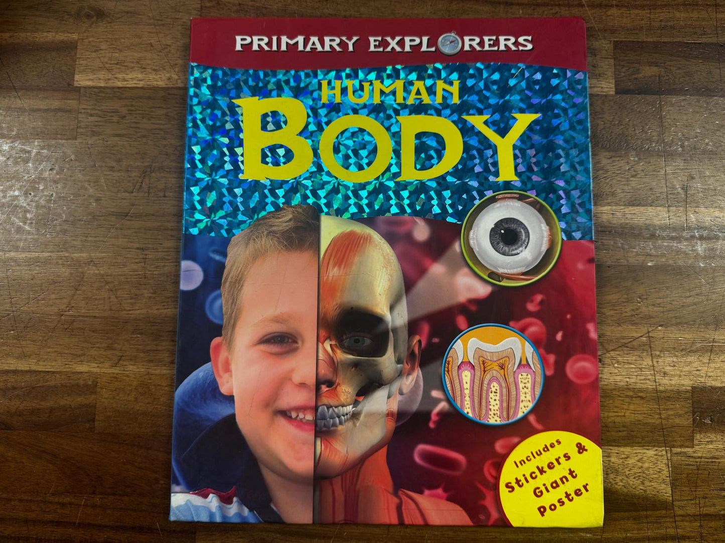 Primary Explorers Human Body