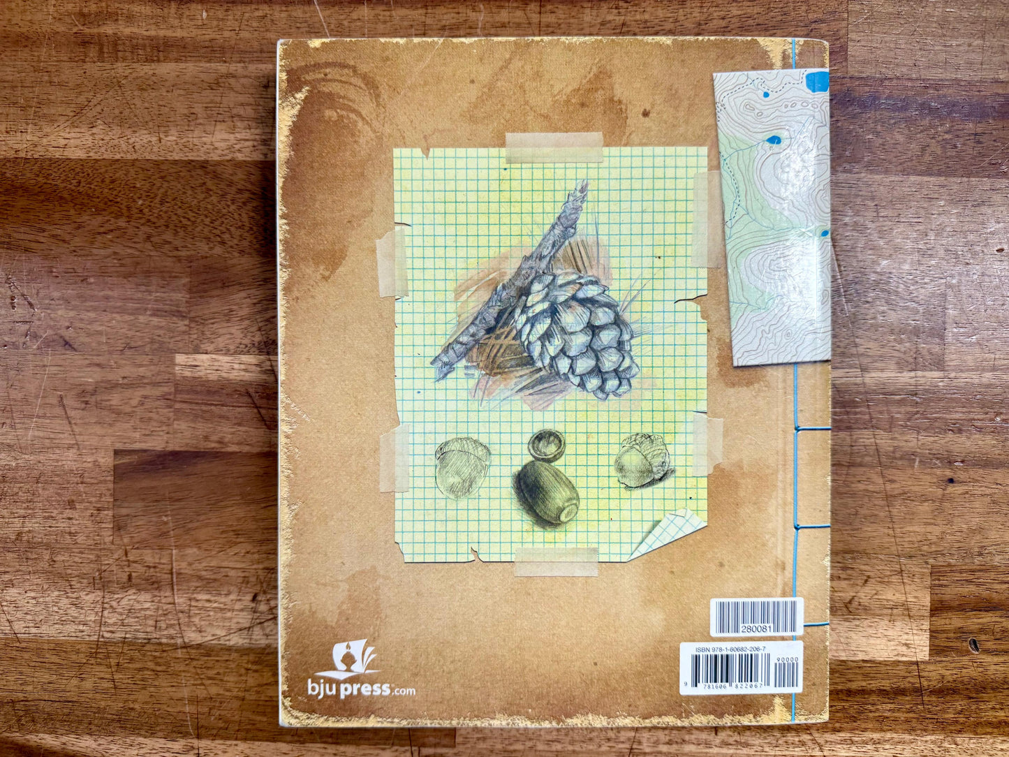 BJU Science 6 Student Text 4th Ed