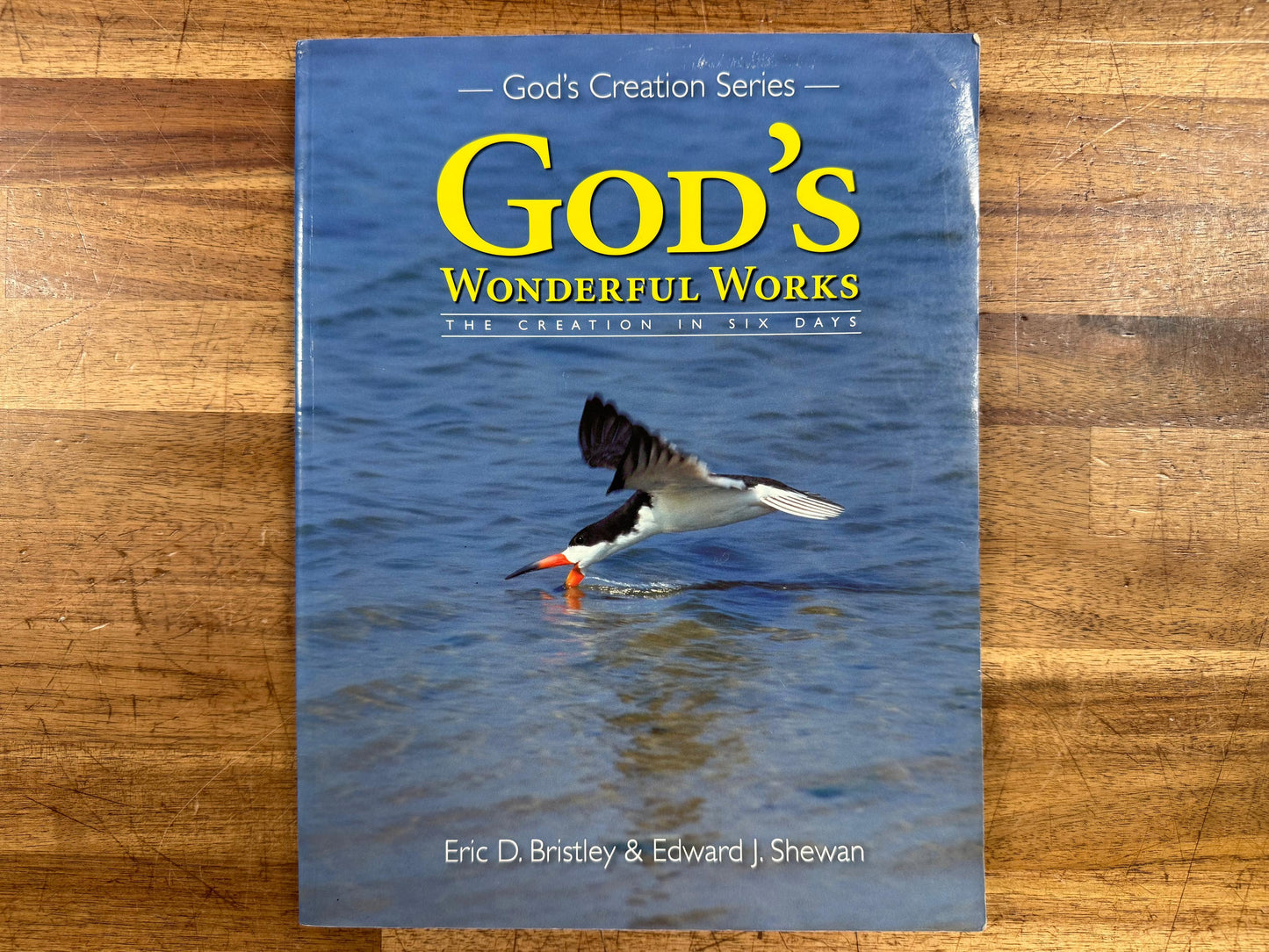 God's Wonderful Works (God's Creation) - Bristley & Shewan
