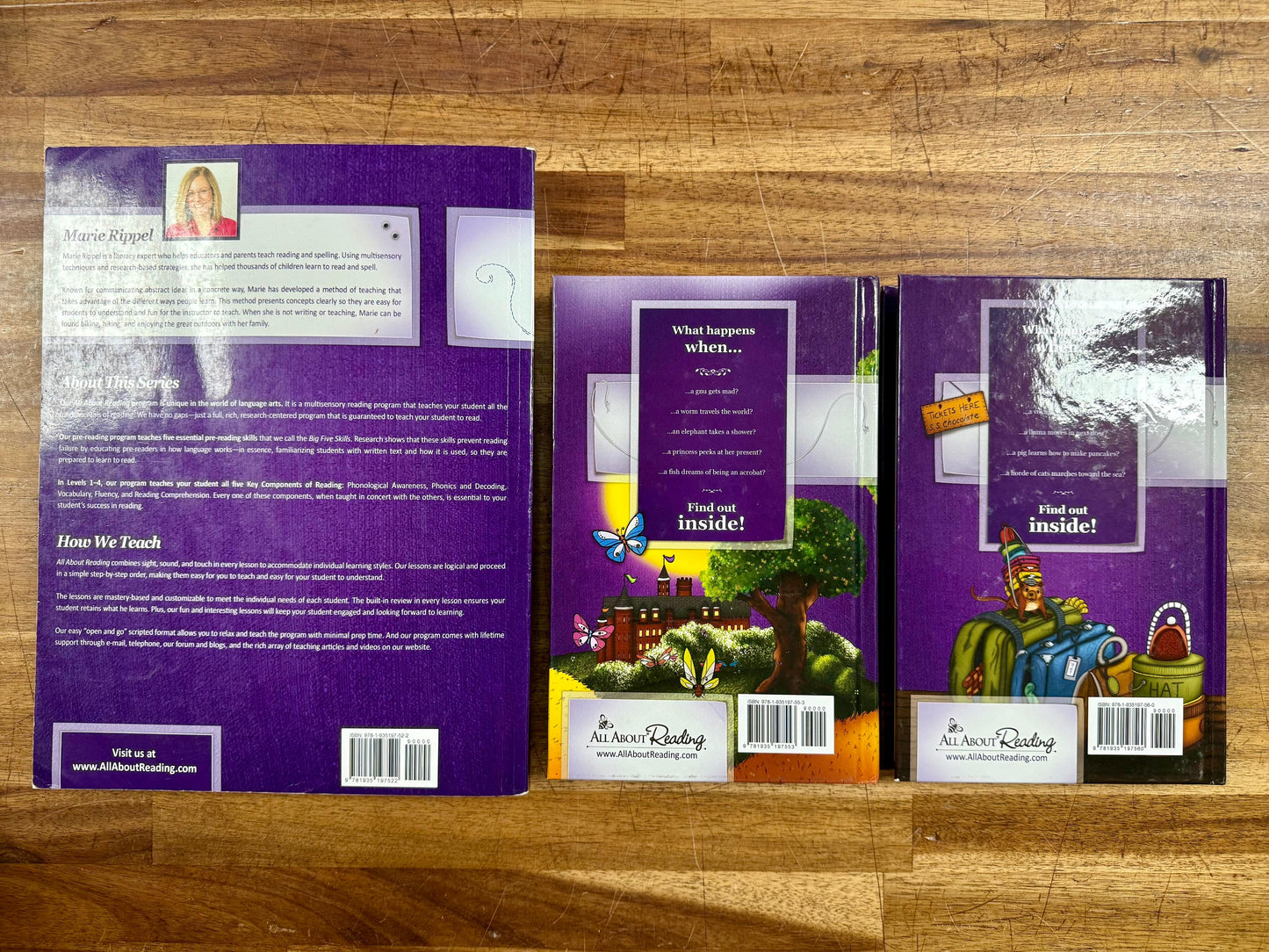 All About Reading Level 4 SET: Teacher's Manual & Both Readers