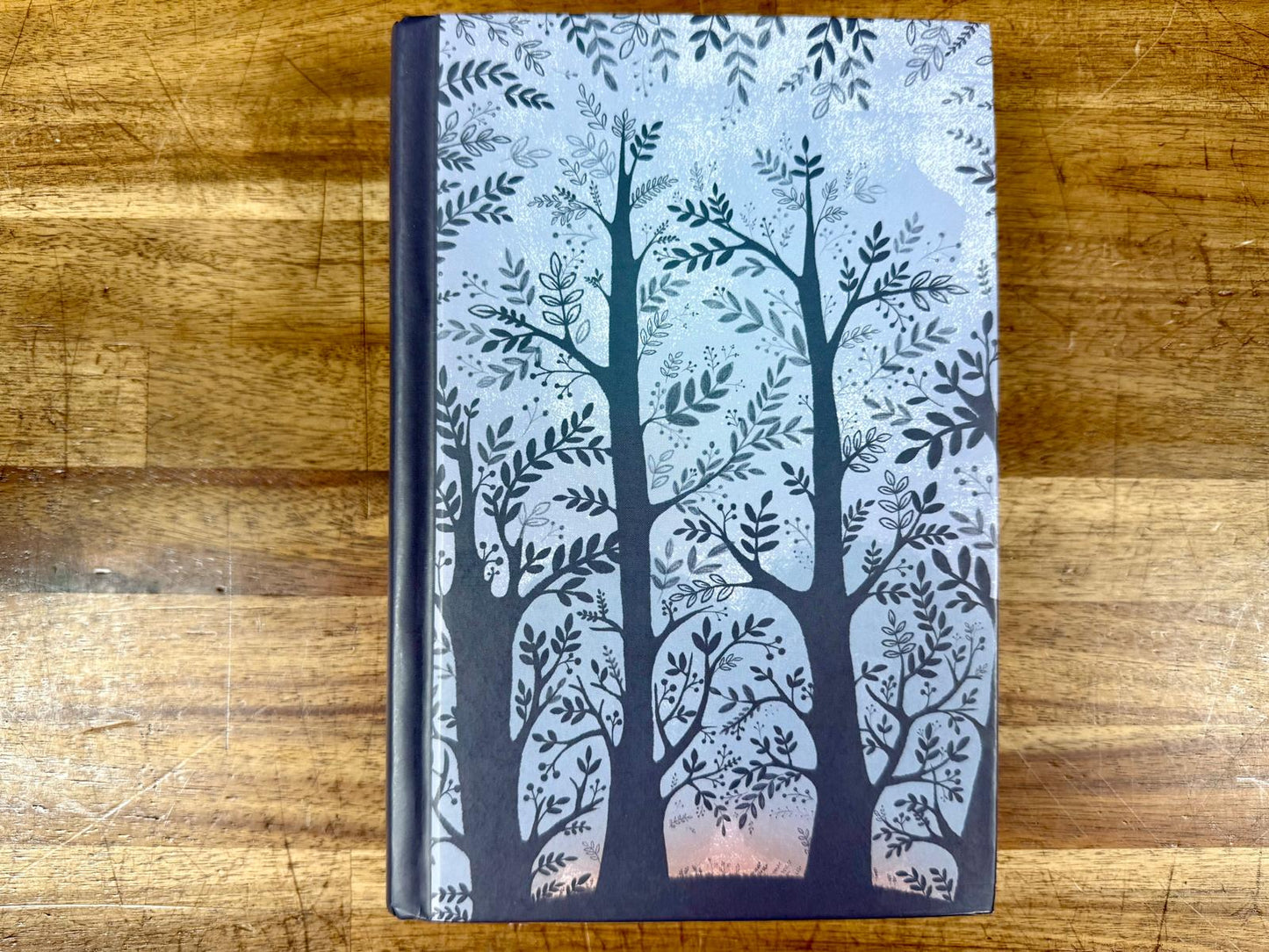 Echo - Hardcover by Ryan, Pam Munoz Scholastic Press