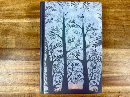 Echo - Hardcover by Ryan, Pam Munoz Scholastic Press