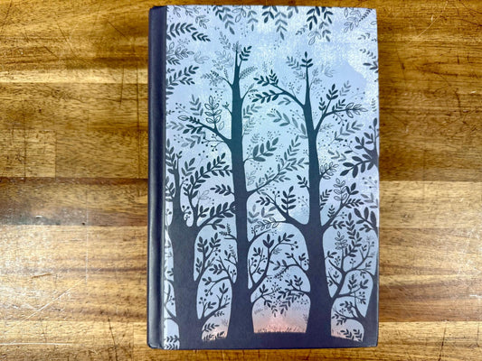 Echo - Hardcover by Ryan, Pam Munoz Scholastic Press