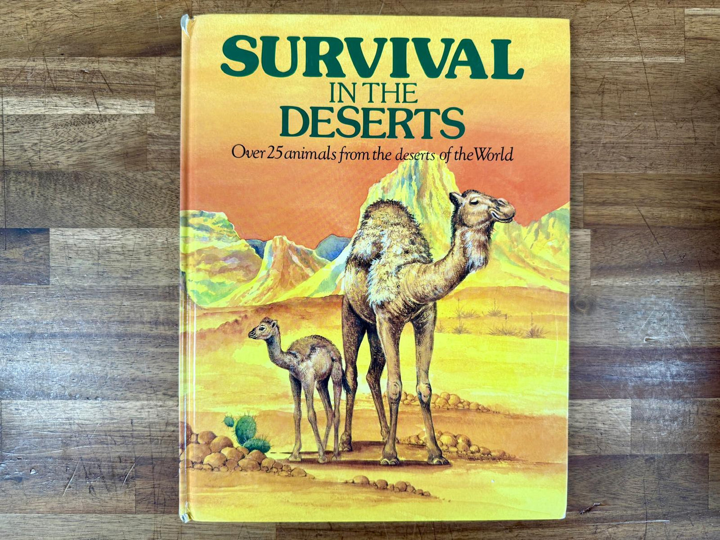 Survival in the Deserts - Jane & David Glover, Large Hardcover
