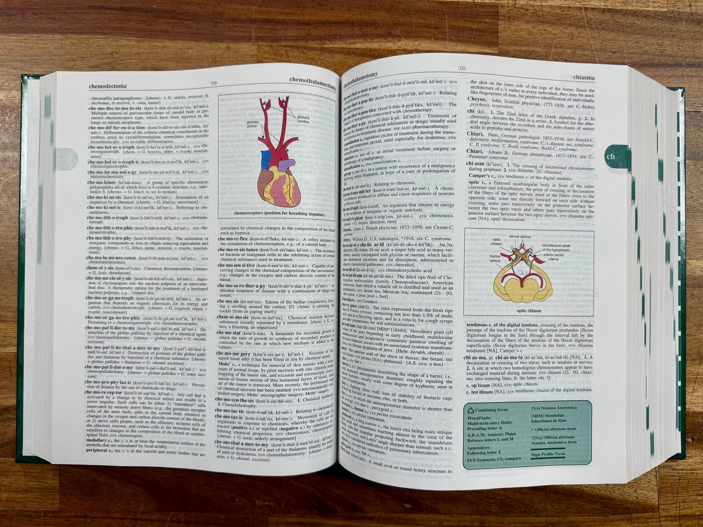 Stedman's Medical Dictionary