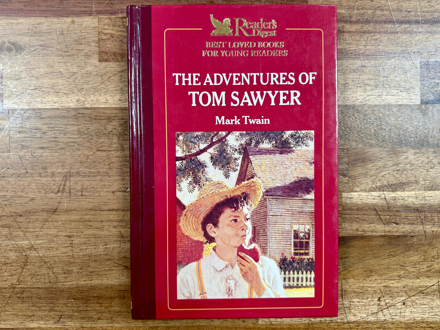 The Adventures of Tom Sawyer by Mark Twain (1989)