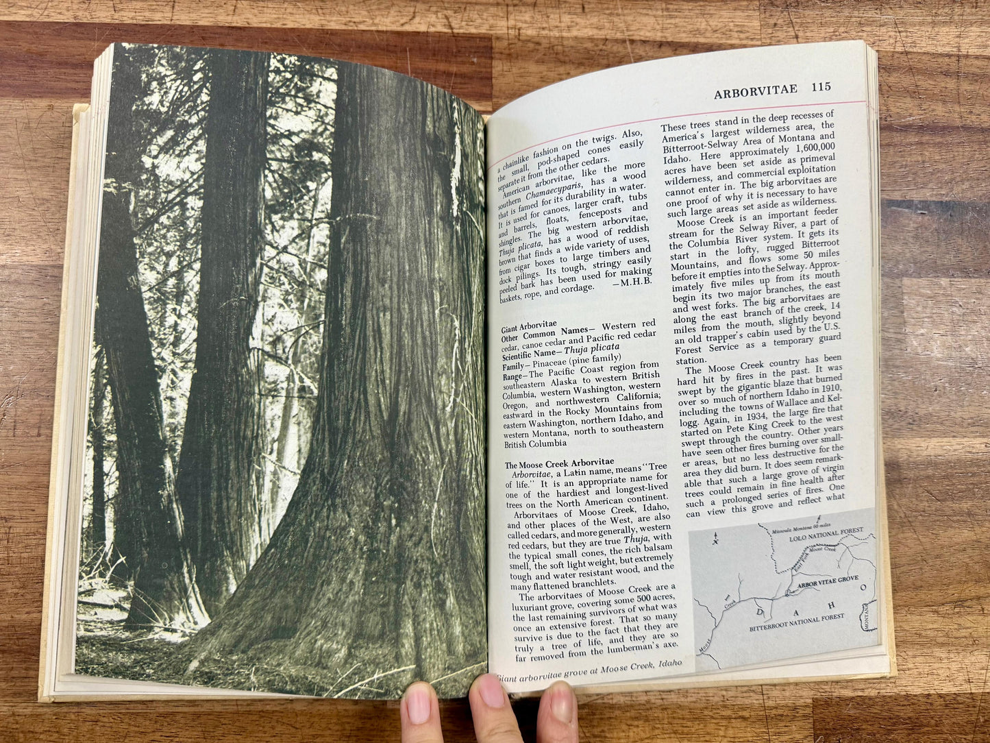 Audubon Nature Encyclopedia Vol 1 (AC–BE) 1965 Curtis