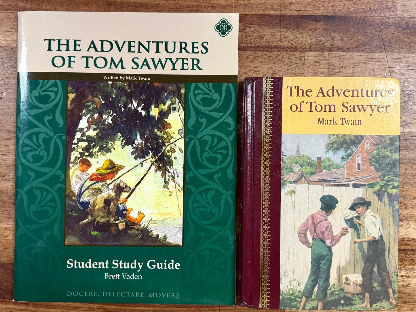 MP The Adventures of Tom Sawyer Study Guide w Litrature
