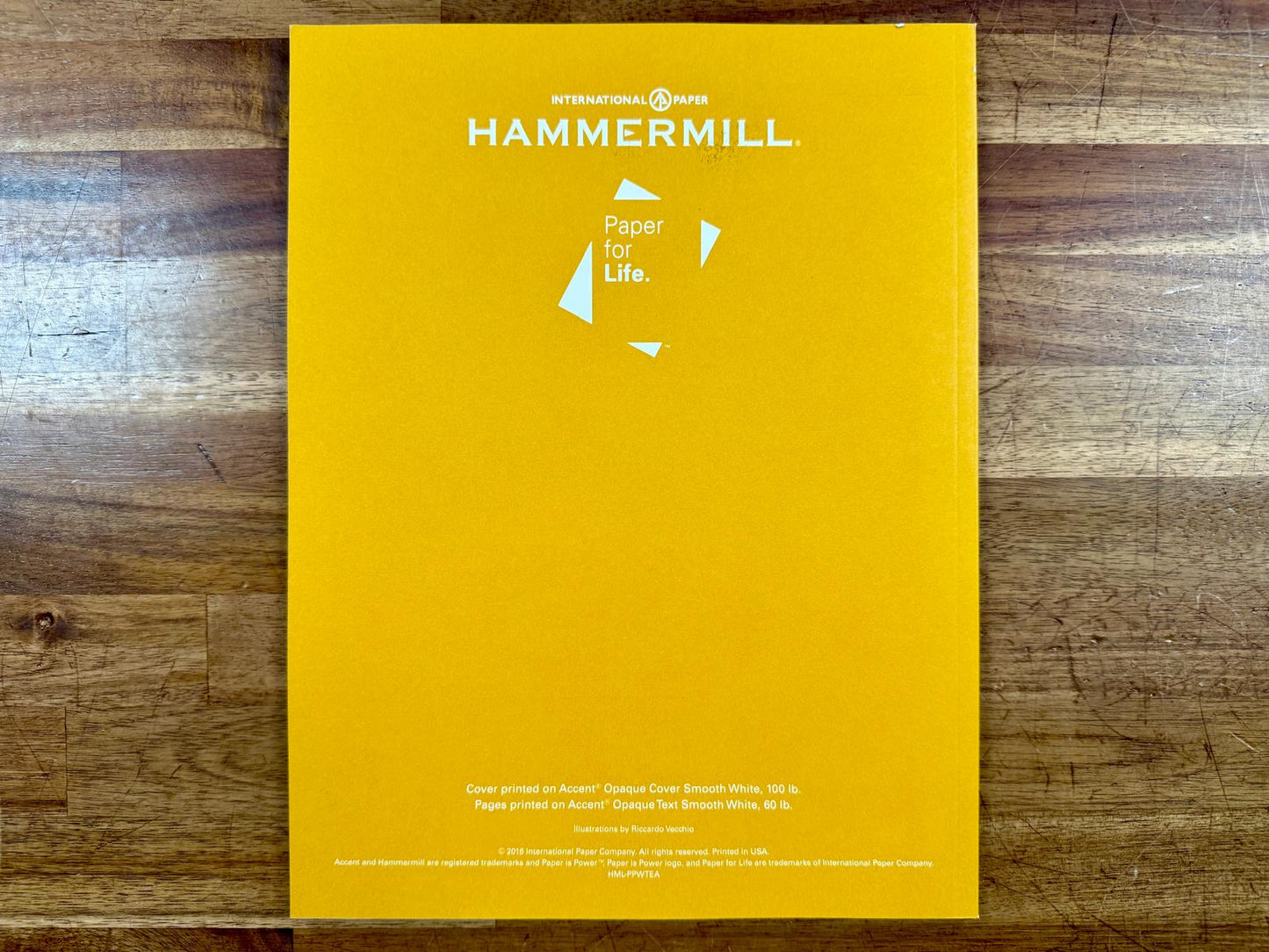 Paper is Power Teacher Guide Writing is Rewriting