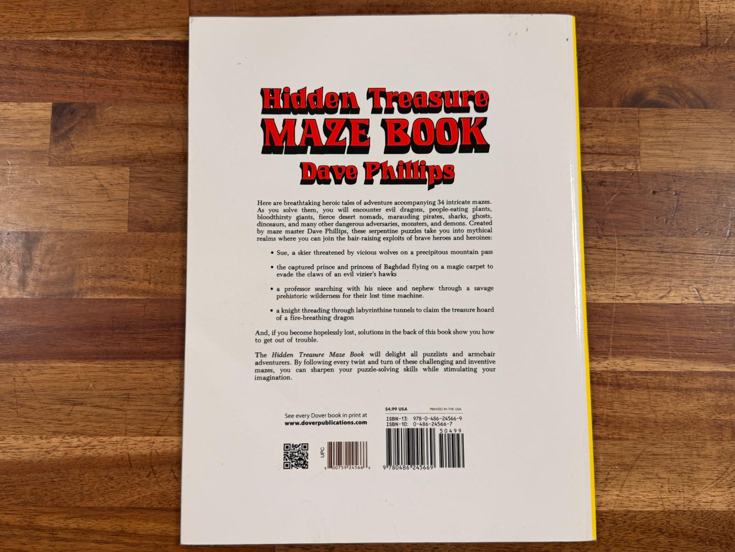 Hidden Treasure Maze Book by Dave Phillips